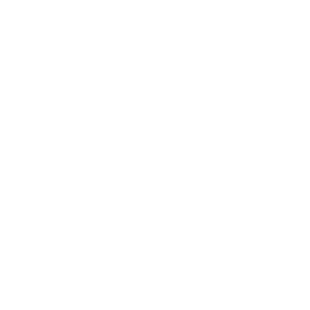 Mr. Satoshi